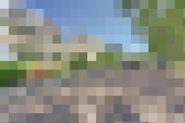 Doevelskerc 6 Zwijndrecht thumbnail 44