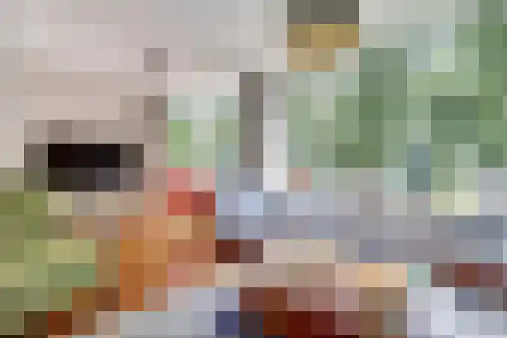 Doevelskerc 6 Zwijndrecht thumbnail 6