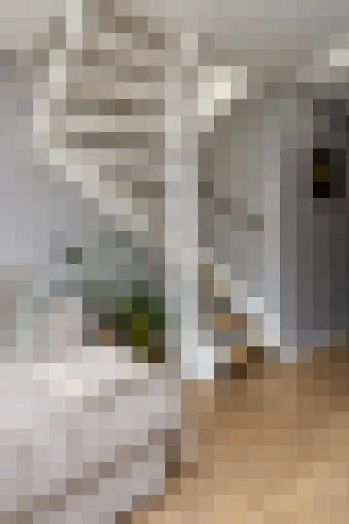 Doevenkamp 12 Assen thumbnail 16