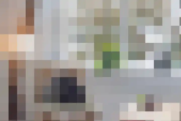 Doevenkamp 12 Assen thumbnail 17