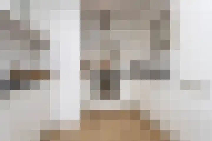Doevenkamp 12 Assen thumbnail 21