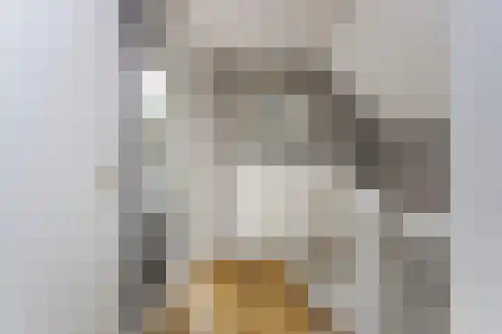 Doevenkamp 12 Assen thumbnail 24