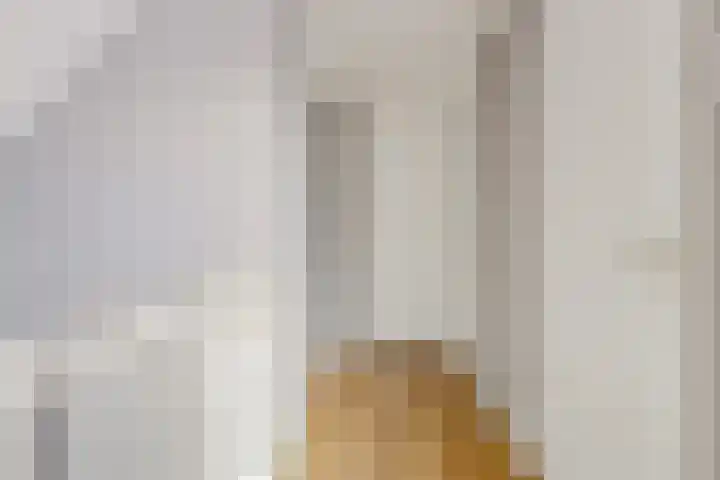 Doevenkamp 12 Assen thumbnail 25