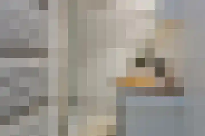 Doevenkamp 12 Assen thumbnail 28