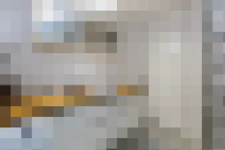 Doevenkamp 12 Assen thumbnail 29