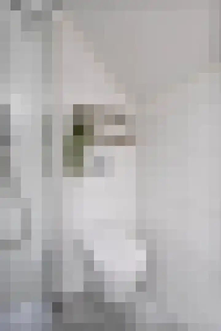 Doevenkamp 12 Assen thumbnail 31