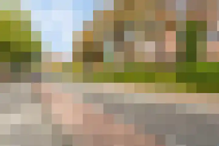 Doevenkamp 12 Assen thumbnail 36
