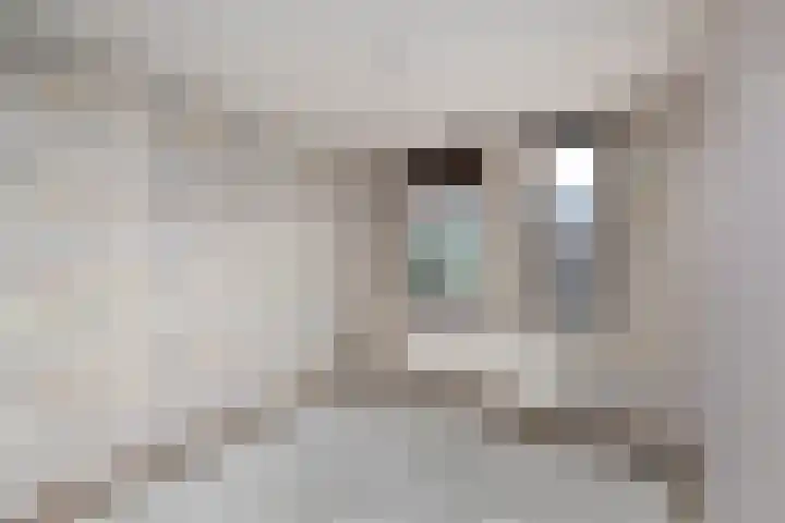 Doevenkamp 45 Assen thumbnail 10