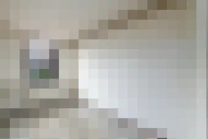 Doevenkamp 45 Assen thumbnail 11