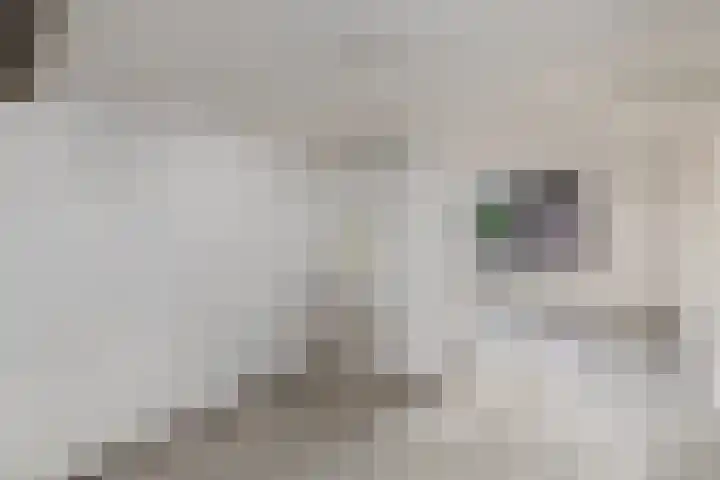 Doevenkamp 45 Assen thumbnail 14