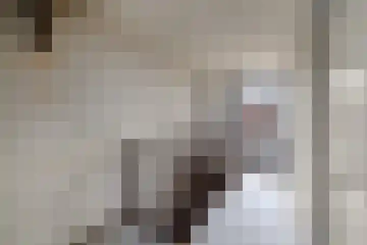 Doevenkamp 45 Assen thumbnail 17