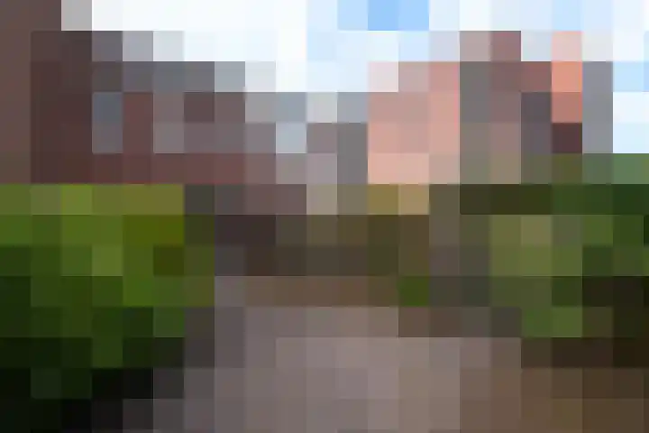 Doevenkamp 45 Assen thumbnail 22