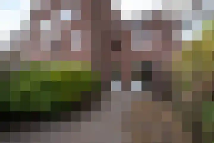 Doevenkamp 45 Assen thumbnail 23