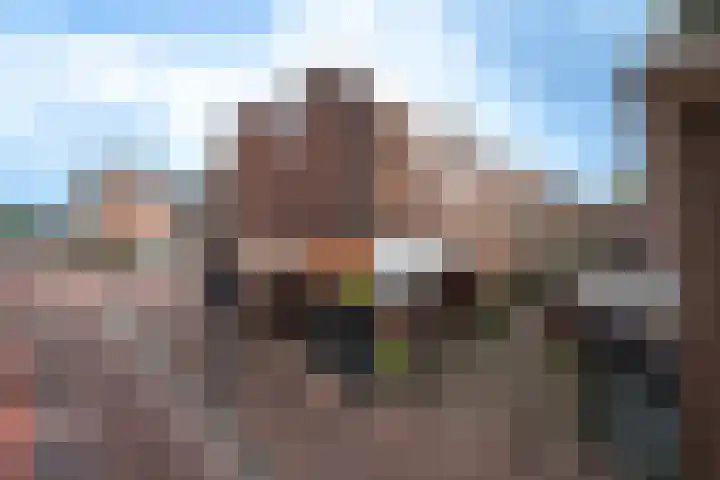 Doevenkamp 45 Assen thumbnail 25