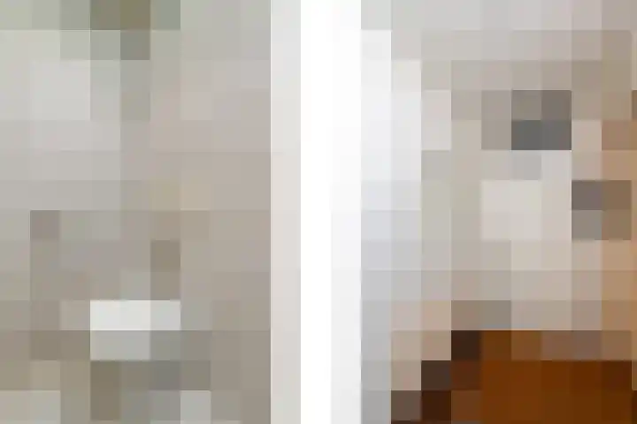 Doevenkamp 45 Assen thumbnail 8