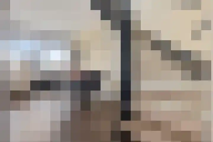 Doevenkamp 69 Assen thumbnail 12