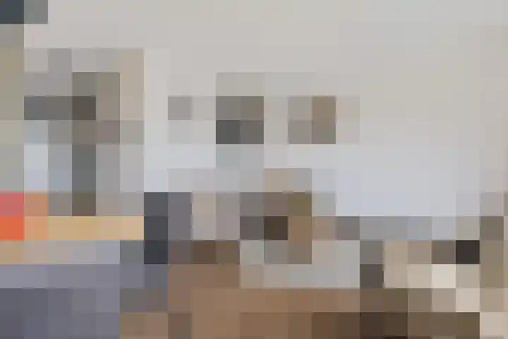 Doevenkamp 69 Assen thumbnail 14