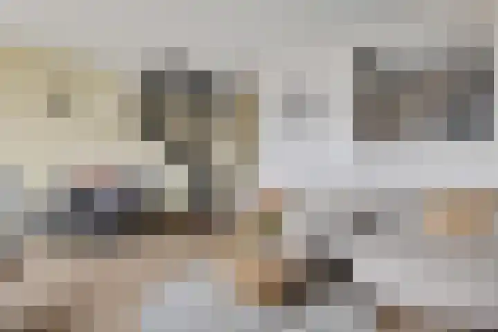 Doevenkamp 69 Assen thumbnail 16