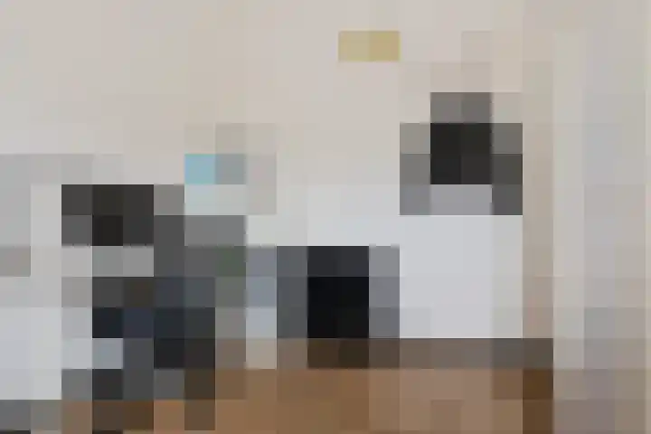 Doevenkamp 69 Assen thumbnail 19