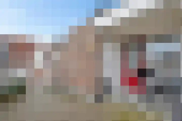 Doevenkamp 69 Assen thumbnail 26