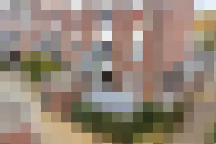 Doevenkamp 69 Assen thumbnail 40