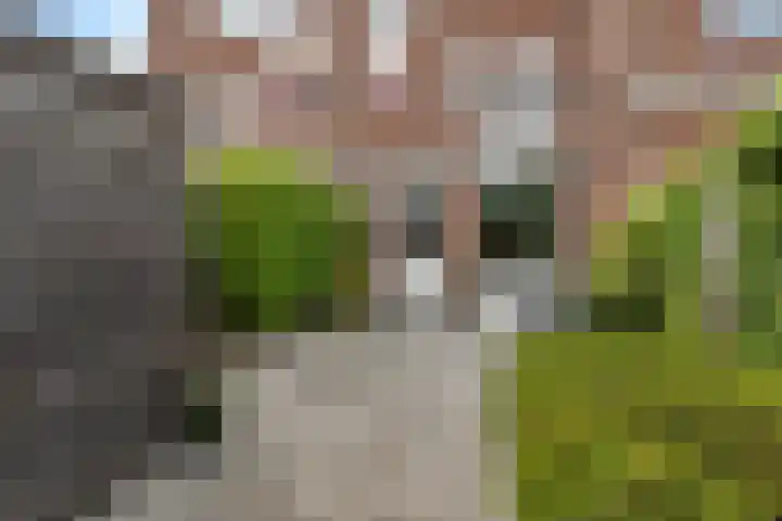 Doevenkamp 73 Assen thumbnail 24