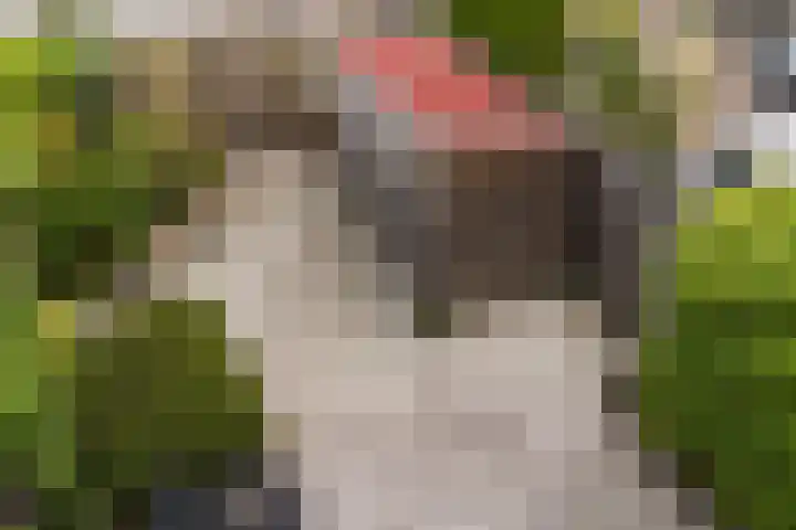 Doevenkamp 73 Assen thumbnail 26