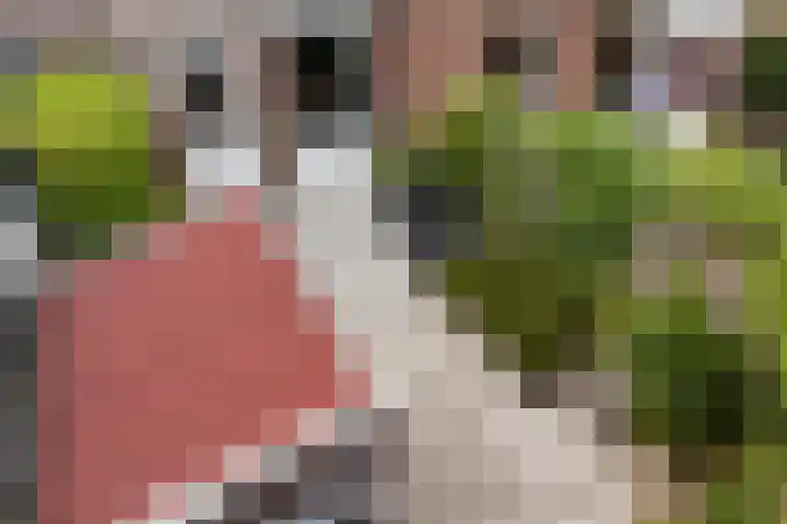 Doevenkamp 73 Assen thumbnail 27