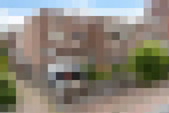 Doevenkamp 73 Assen thumbnail 28