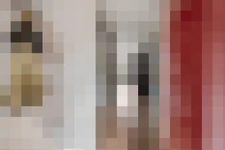 Doevenkamp 73 Assen thumbnail 7
