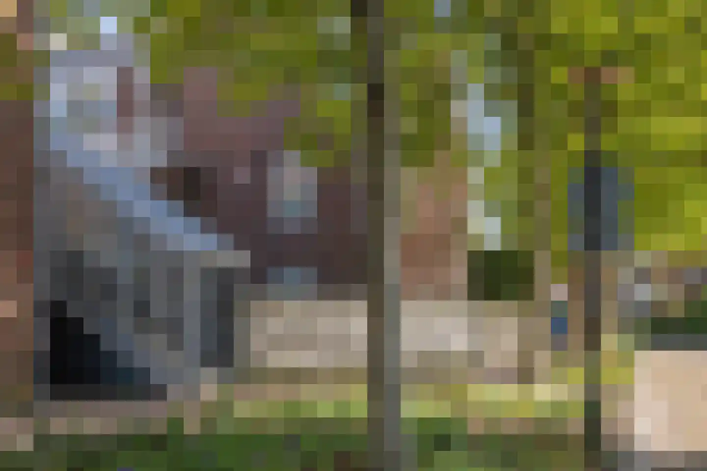 Doevenkamp 89 Assen thumbnail 11