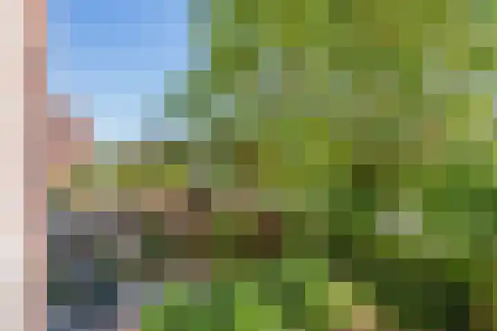 Doevenkamp 89 Assen thumbnail 17