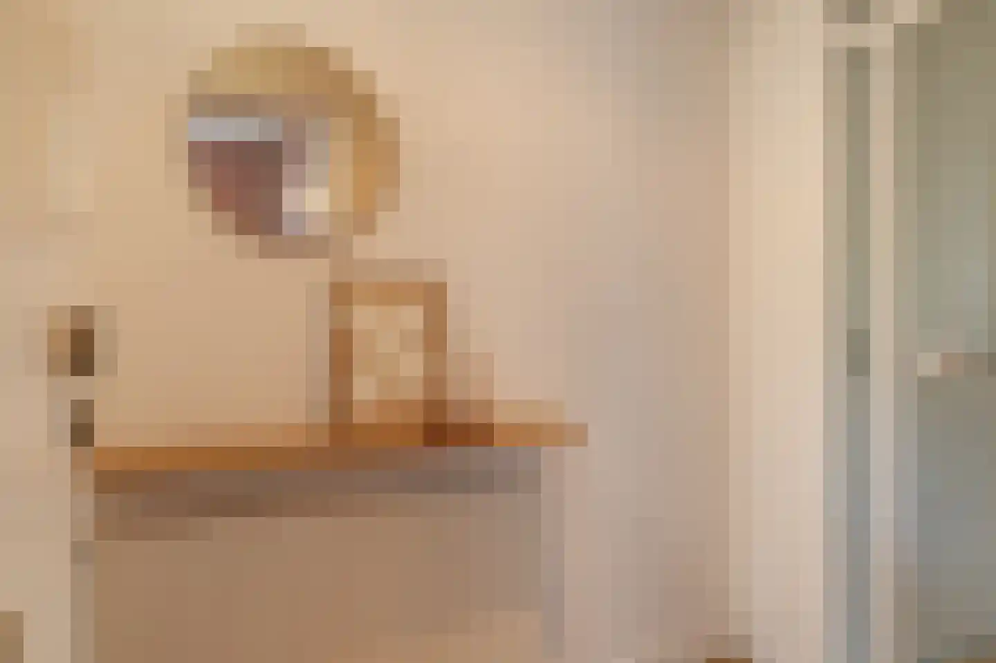 Doevenkamp 89 Assen thumbnail 20