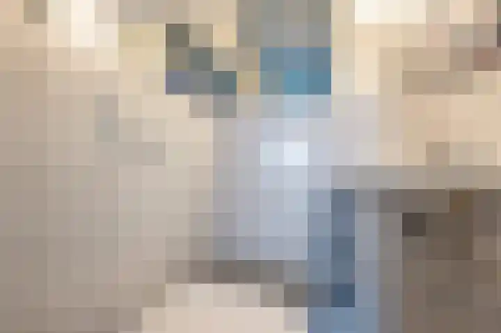 Doevenkamp 89 Assen thumbnail 24