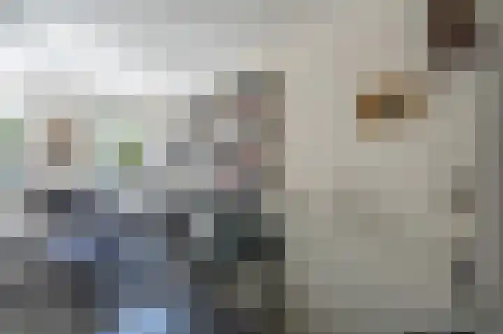 Doevenkamp 89 Assen thumbnail 25