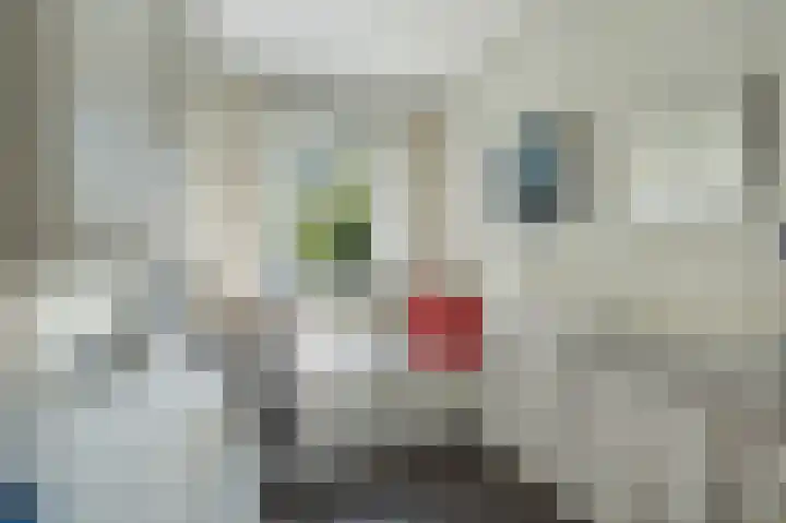 Doevenkamp 89 Assen thumbnail 28
