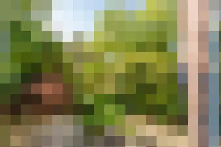 Doevenkamp 89 Assen thumbnail 33