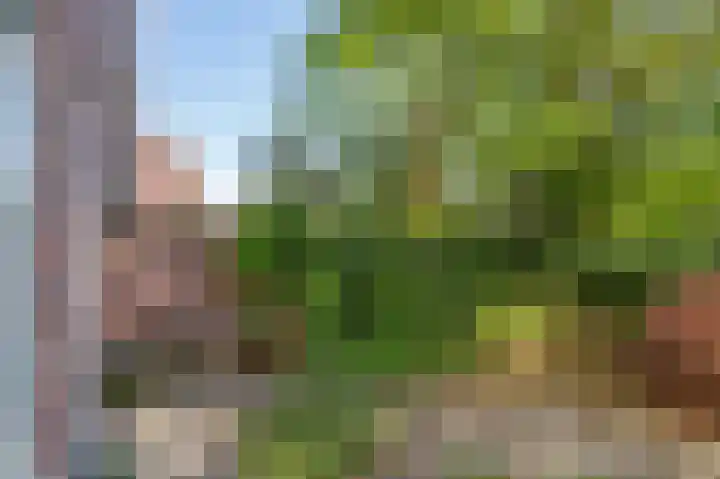 Doevenkamp 89 Assen thumbnail 34