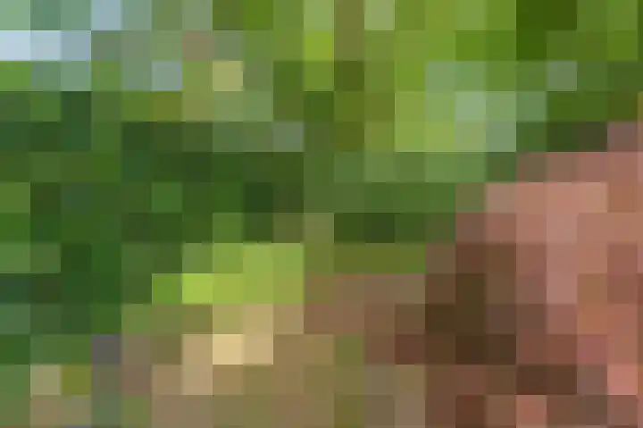 Doevenkamp 89 Assen thumbnail 35
