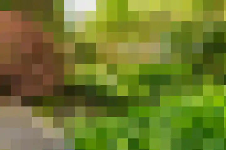 Doevenkamp 89 Assen thumbnail 37