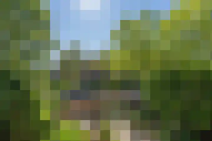 Doevenkamp 89 Assen thumbnail 4