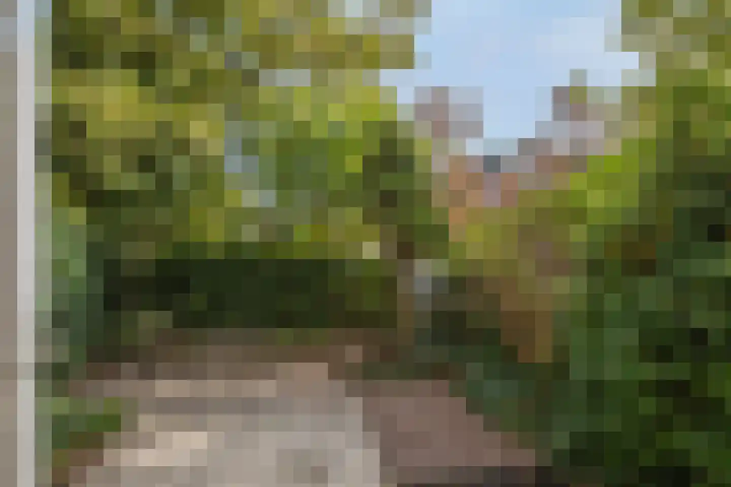 Doevenkamp 89 Assen thumbnail 48