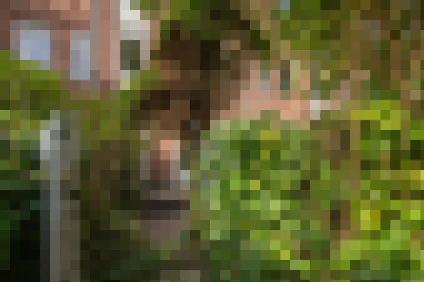 Doevenkamp 89 Assen thumbnail 52