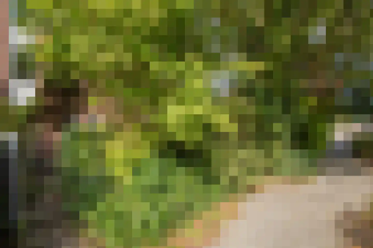 Doevenkamp 89 Assen thumbnail 53