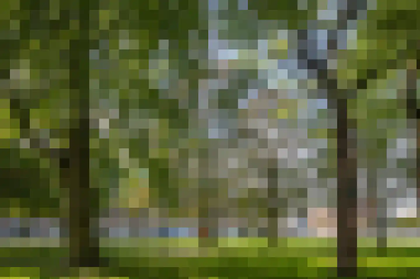 Doevenkamp 89 Assen thumbnail 57