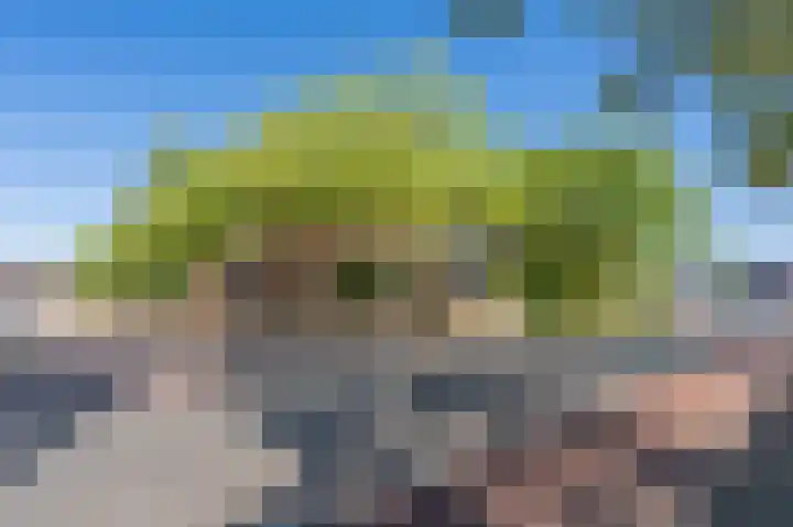 Doevenkamp 89 Assen thumbnail 7