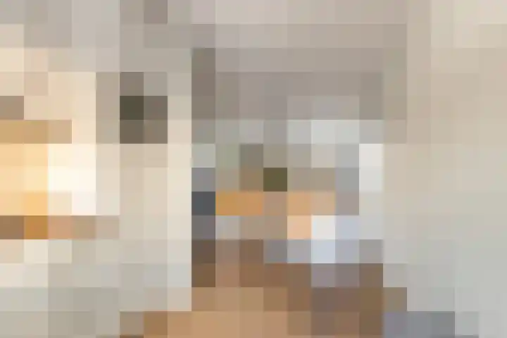 Doeverensestraat 13 Genderen thumbnail 13