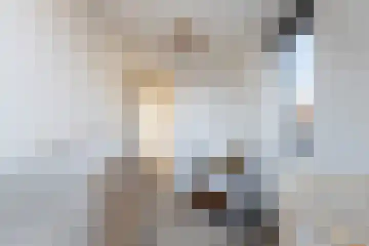 Doeverensestraat 13 Genderen thumbnail 22