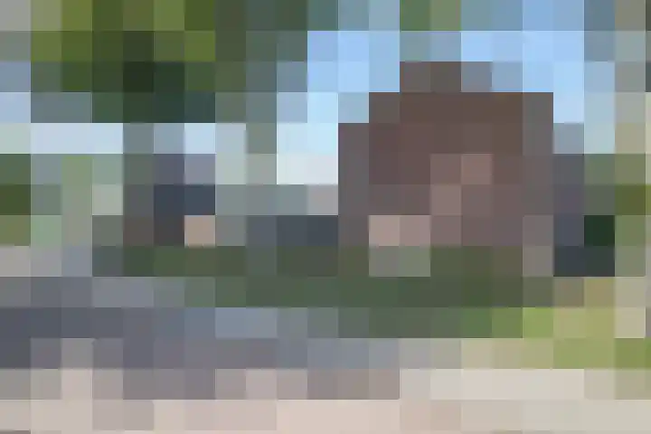 Doeveslag 62 Vollenhove thumbnail 10
