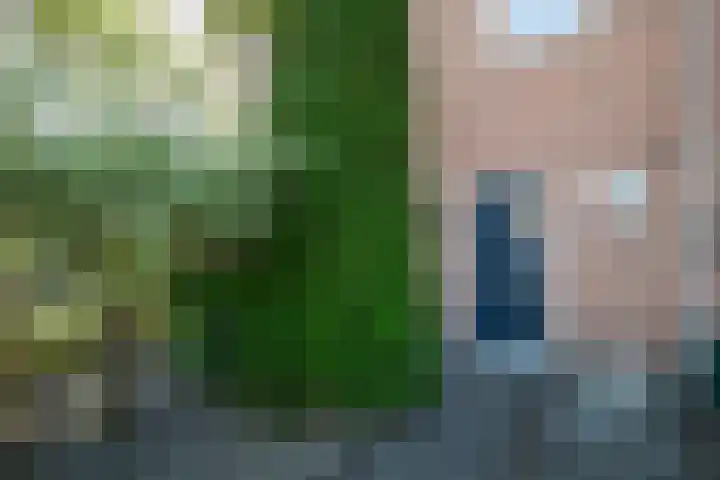 Doeveslag 62 Vollenhove thumbnail 11